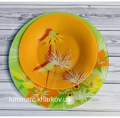 Сервиз Luminarc  POP FLOWERS Green/Orange /46пр.