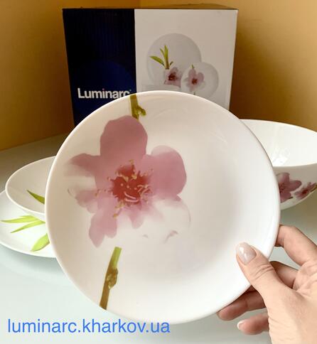 Сервіз Luminarc WATER COLOR /19 пр